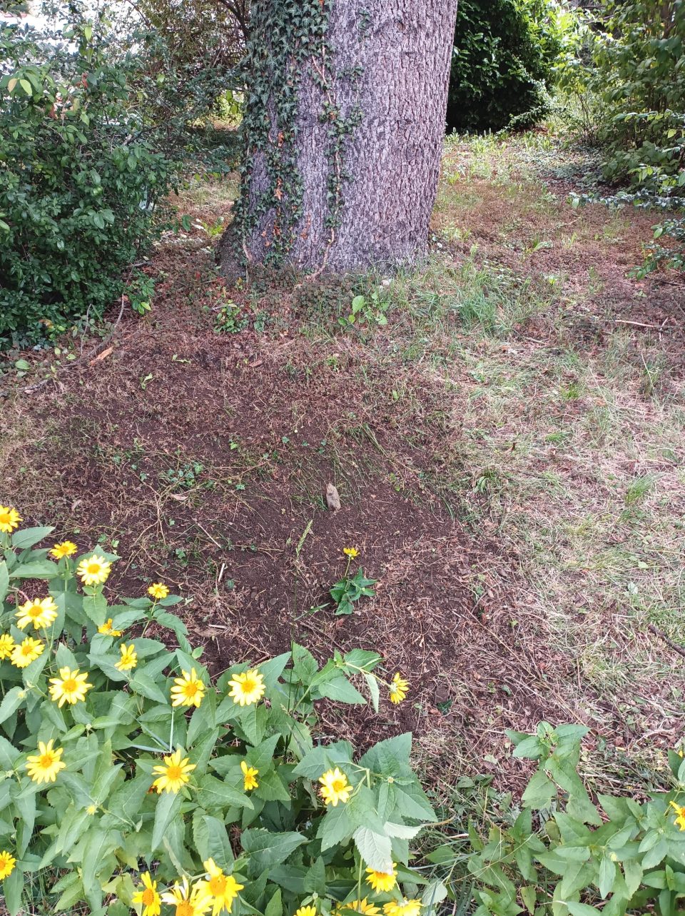 IMG_20250711_104235_029